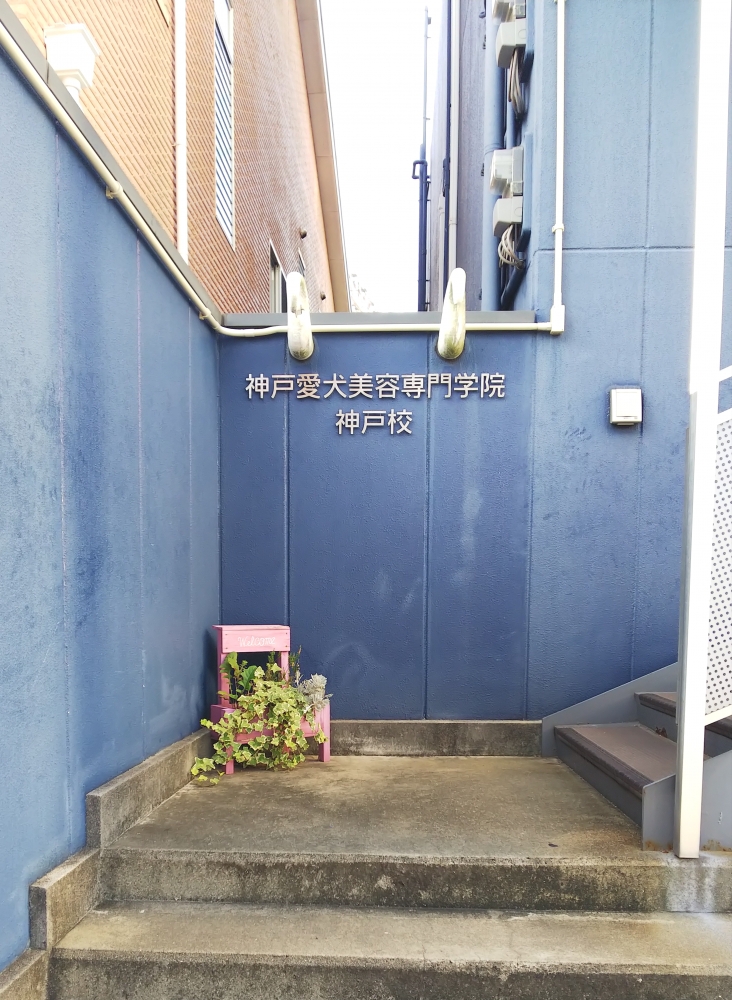 神戸愛犬美容専門学院　神戸校_1