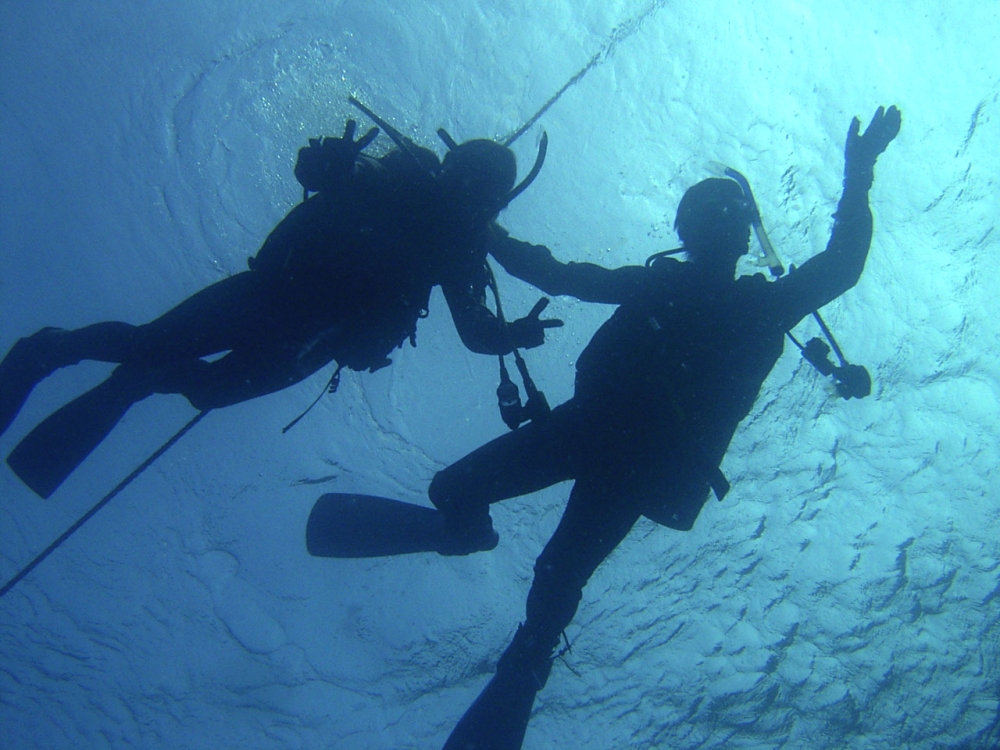 ダイビングスクール アクアリウム･エス_15