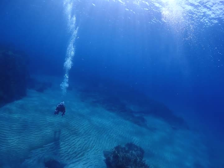 ダイビングスクールココモ_2