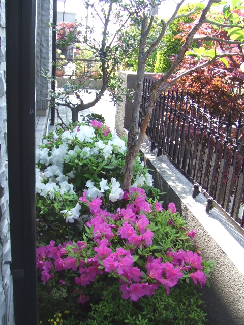 尖山フルート教室_6