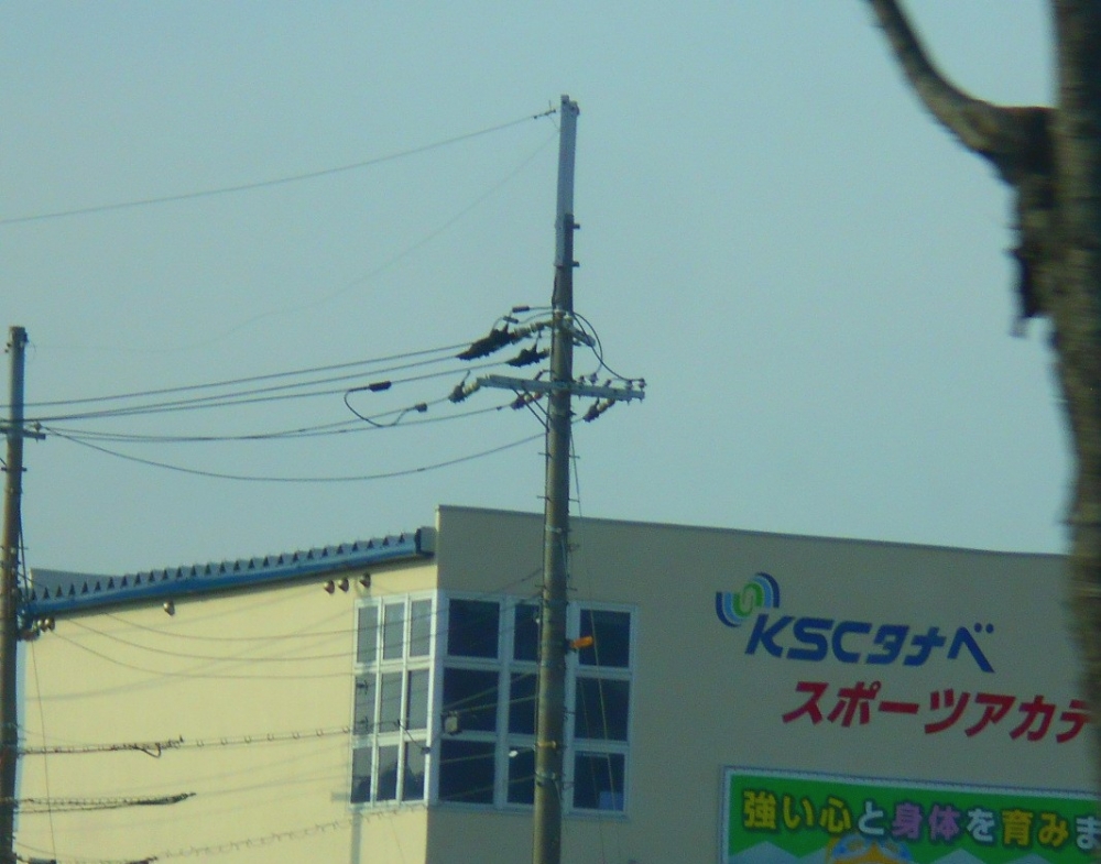 ＫＳＣタナベ_2