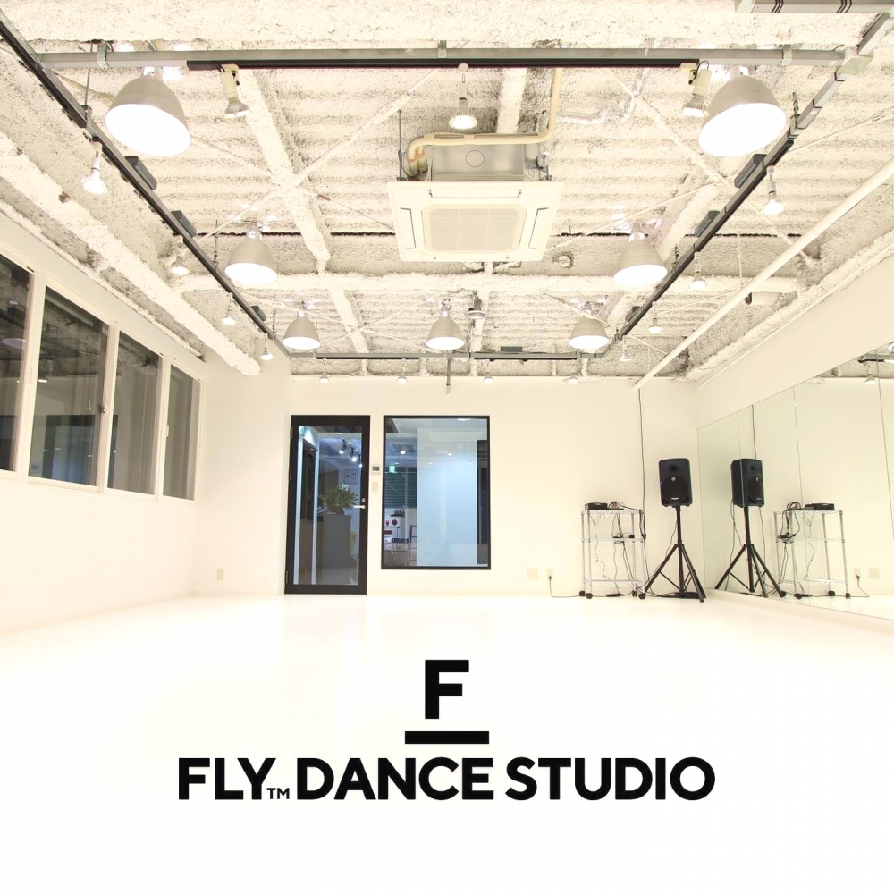 FLYDANCESTUDIO