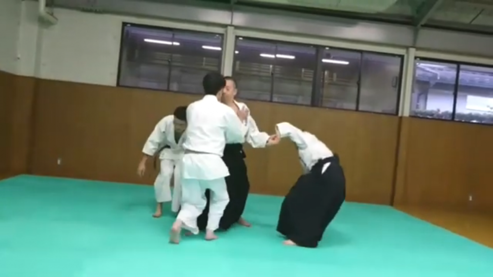 柳心館合気道場