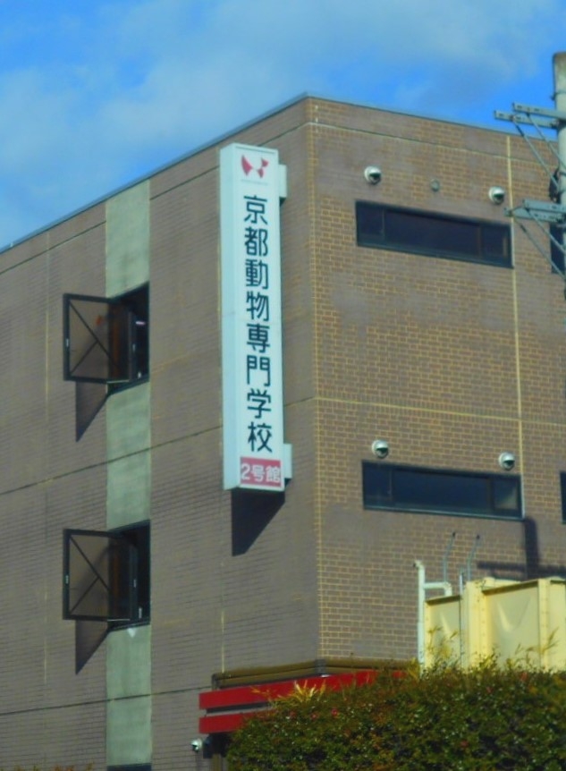 京都動物専門学校