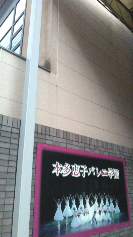 本多恵子バレエ学園 本部_2