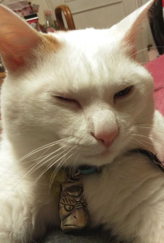 カウンセリングルームsizuka_6