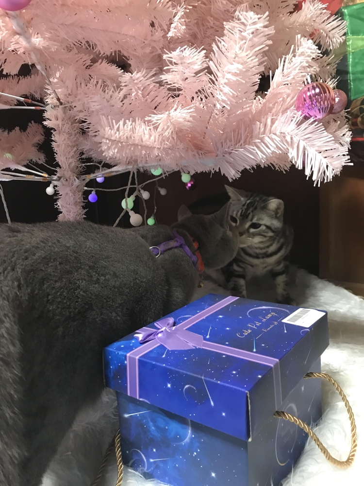 カウンセリングルームsizuka_3