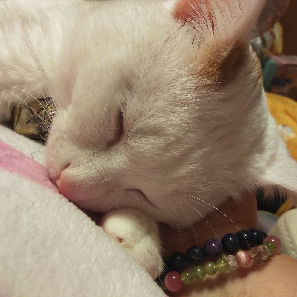 カウンセリングルームsizuka_1