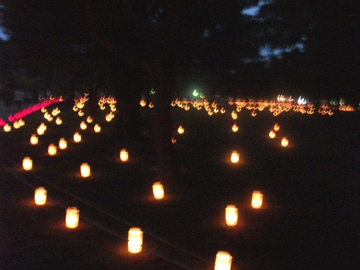 なら燈火会事務局_1