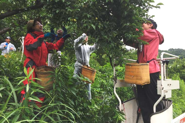 よしの農林業週末塾