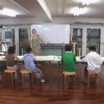 平日デイタイムプラン