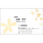 就学前〜小学生　基本カリキュラムコース