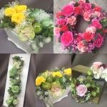 無料体験レッスン_1