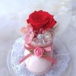 無料体験レッスン