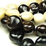 英会話「ENVISION」コース_1