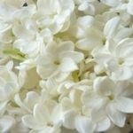 英会話「ENVISION」コース_4