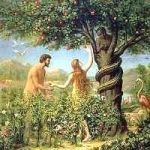 主なギターレッスンコース_3