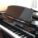 【グループレッスン】1万円ポッキリ留学