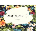 コースについて（プログラミングだけでなく、パソコンITに関する基礎知識も身につけていきます！）_3