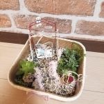 スマイルシードでのレッスンメニュー_2