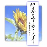 国語読解_1