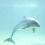 アートキャンドル教室