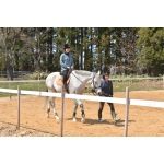 体験乗馬1回コース