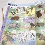 整体プロフェッショナルコース